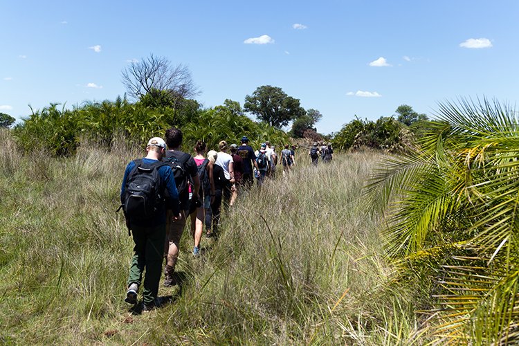 BWA NW OkavangoDelta 2016DEC02 Mokoro 021